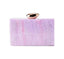 Lilac/Pink Acrylic Clutch
