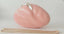 Blush Acrylic Flower Clutch