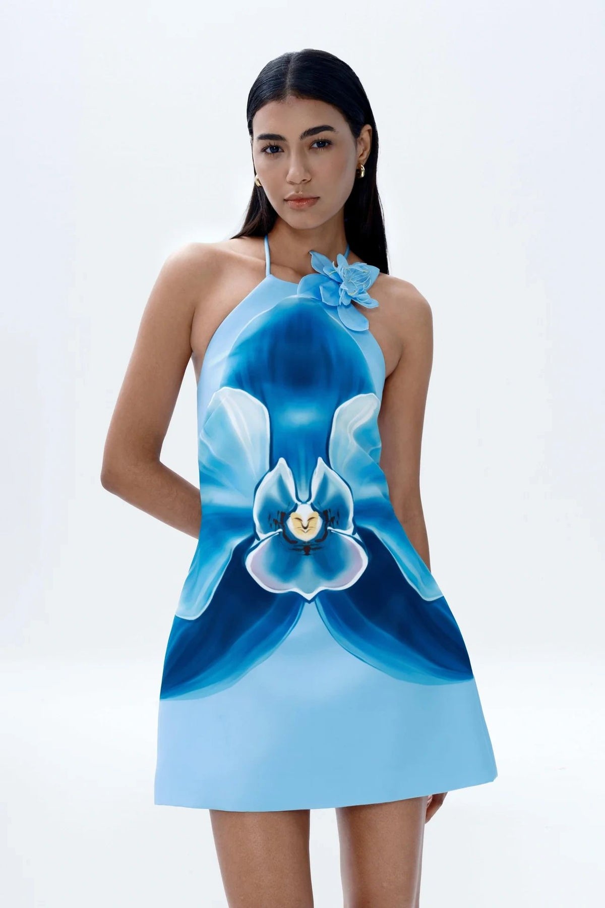 Orya Mini Dress