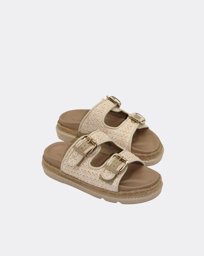 Human Maple Slides Asst Colours