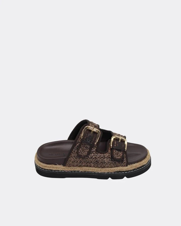 Human Maple Slides Asst Colours