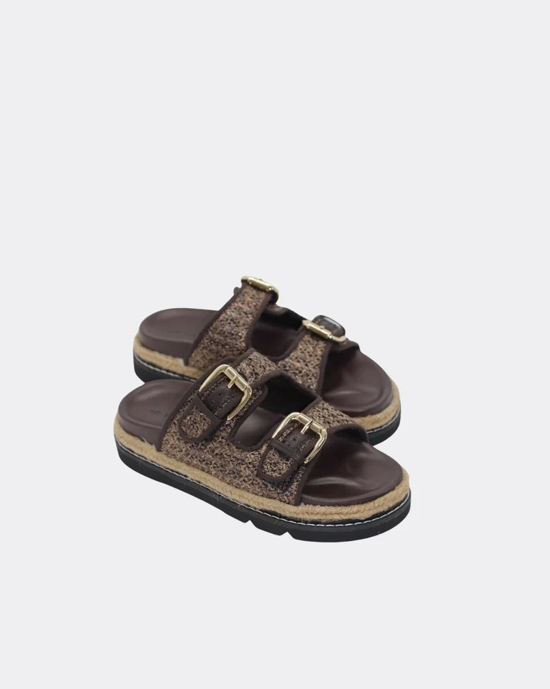 Human Maple Slides Asst Colours