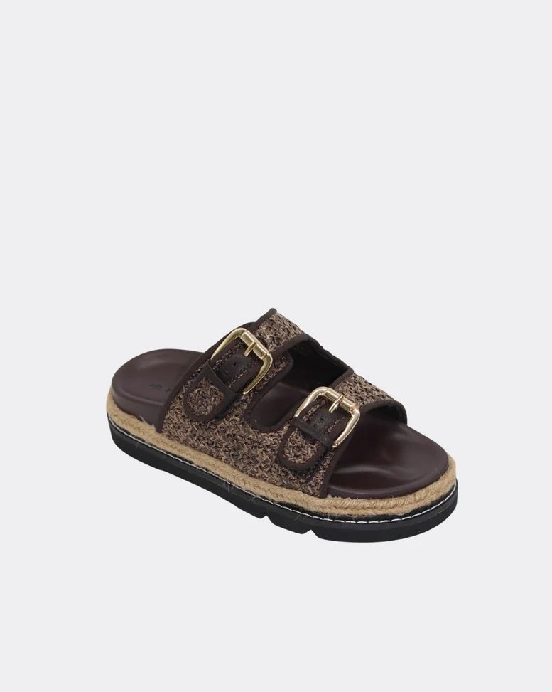 Human Maple Slides Asst Colours