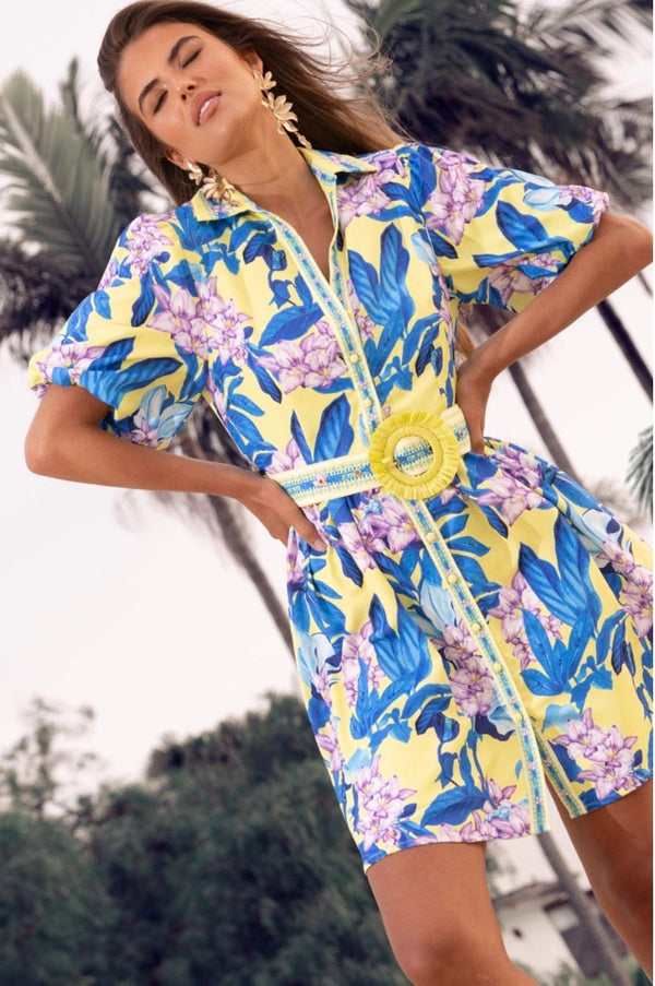 Blu-Amor Mini Dress