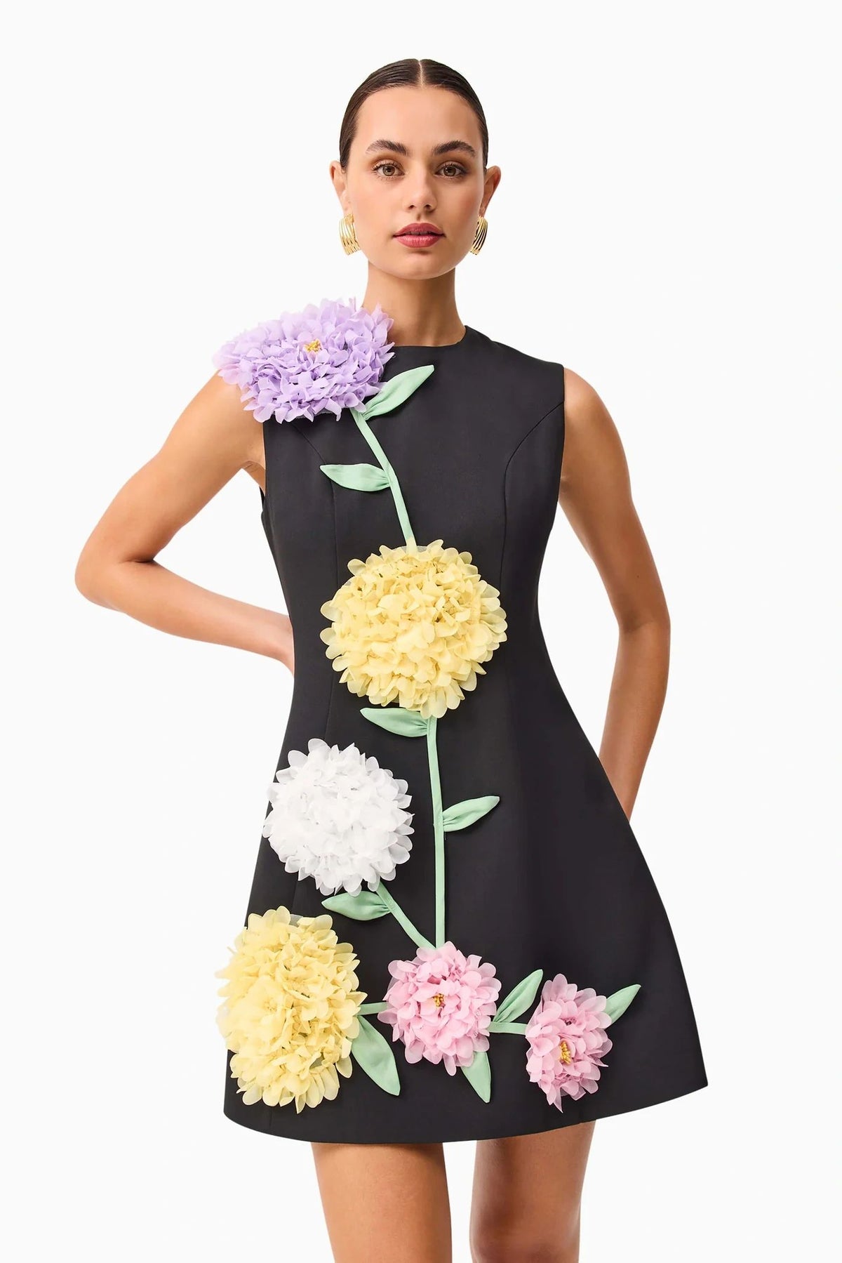 Buttercup Embroidered Mini Dress Black
