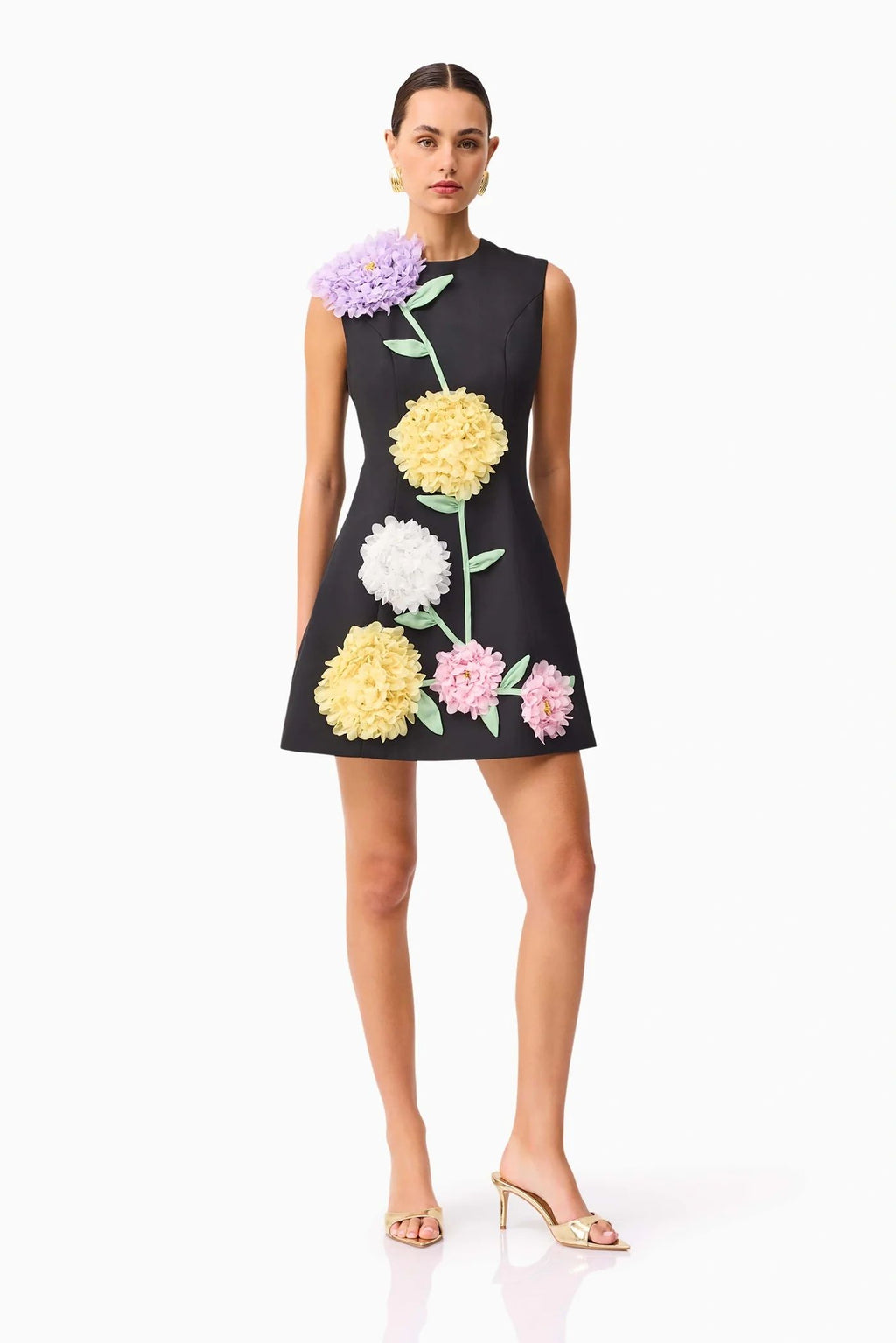 Buttercup Embroidered Mini Dress Black