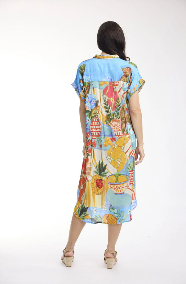 Digital Shirt Picnic Dress