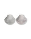 Shell Silver Earrings