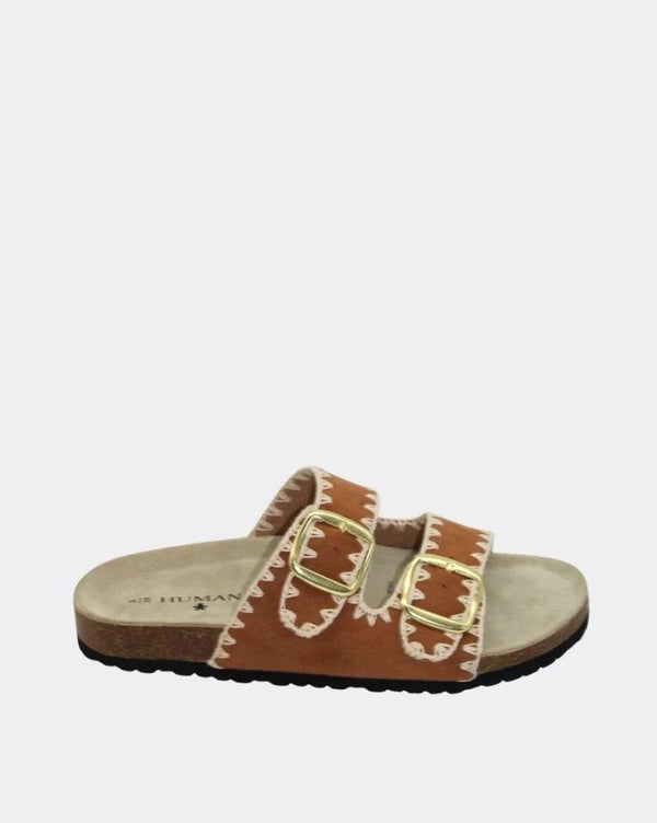 Human Cleo Slides Asst Colours
