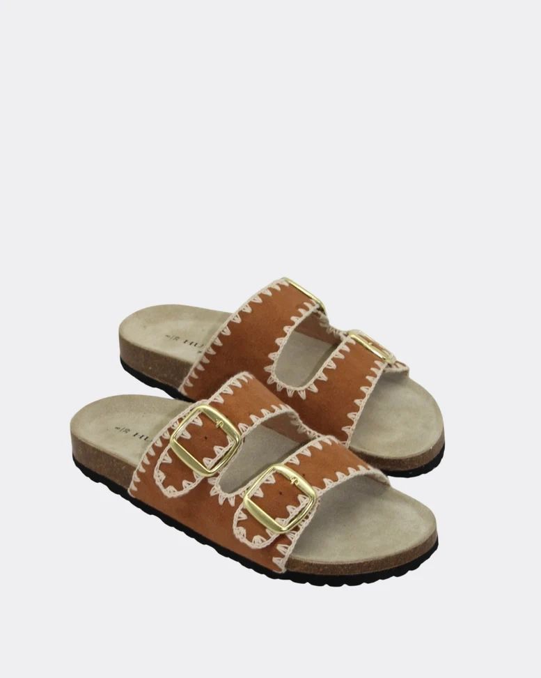 Human Cleo Slides Asst Colours