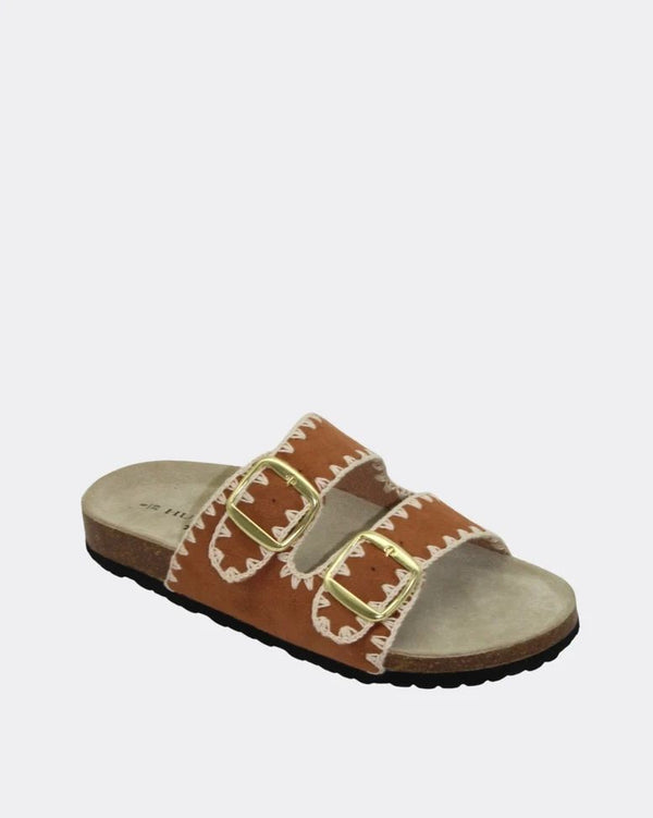 Human Cleo Slides Asst Colours